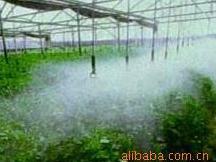 蔬菜灌溉喷头 喷施喷头