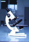 普通生物显微镜