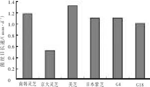 不同灵芝菌株在琼脂培养基上的生长速度比较