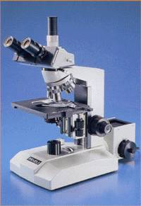 普通光学显微镜