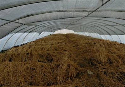 水稻育秧棚利用生产模式